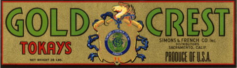 Gold Crest